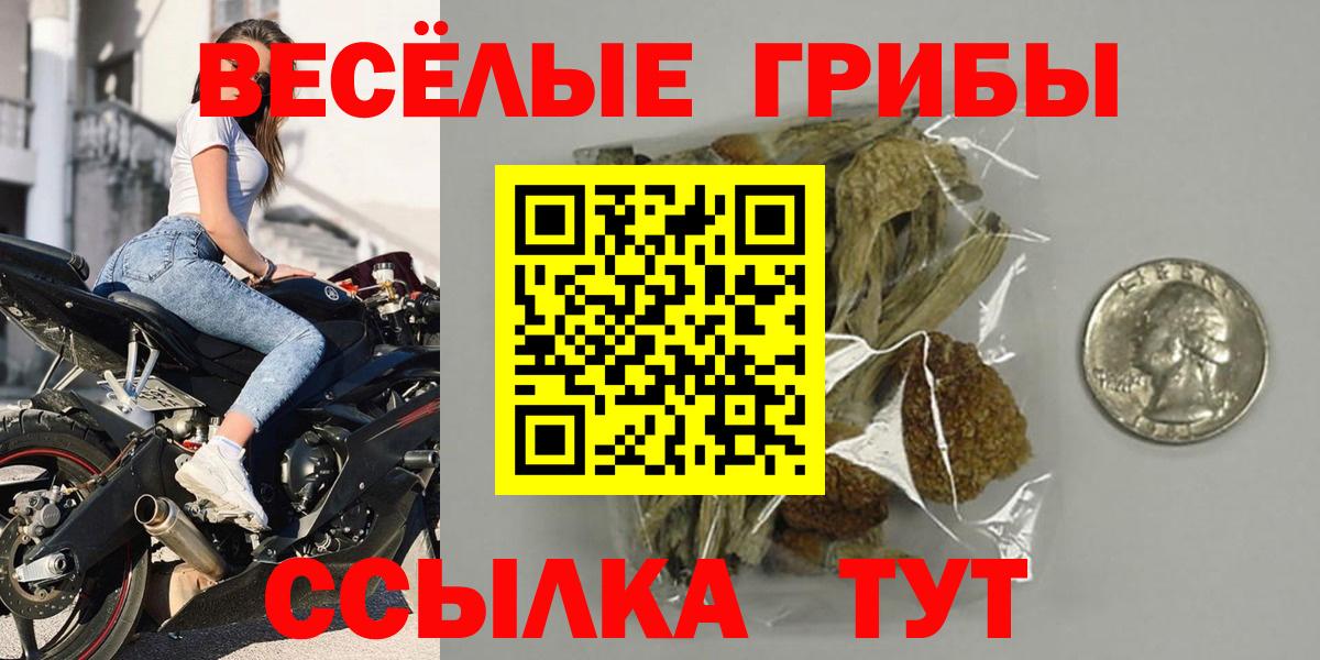 Псилоцибиновые грибы MAGIC MUSHROOMS  цена   Соликамск  Вход с VPN  Псилоцибиновые грибы Psilocybine cubensis 